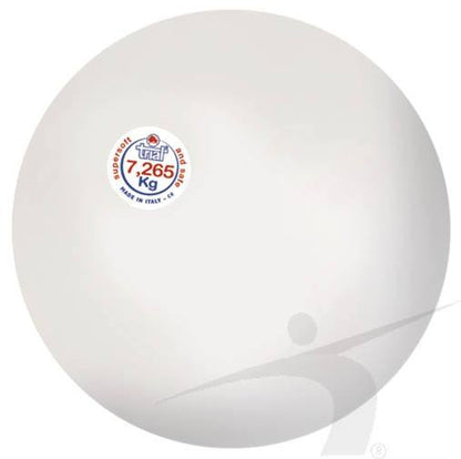 Polanik VDL Indoor Shot