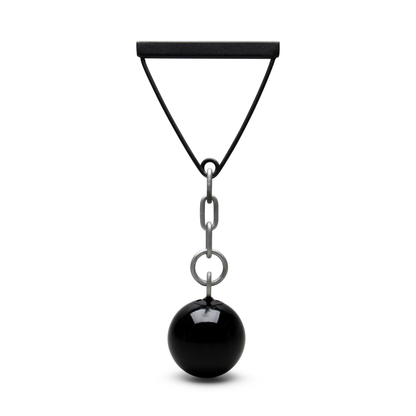 ATE Discus Training Tool