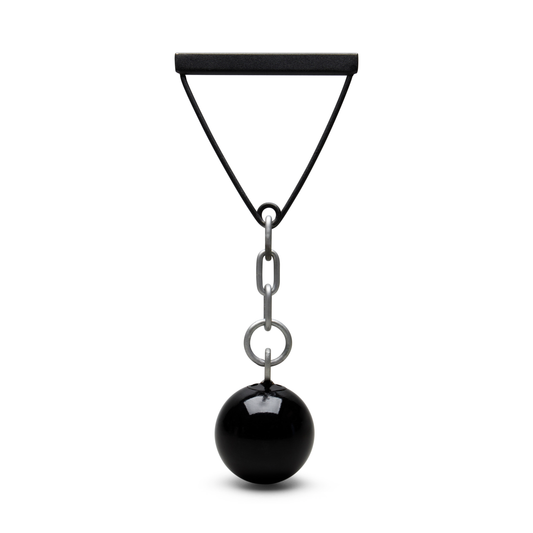 ATE Discus Training Tool