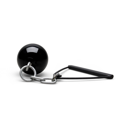 ATE Discus Training Tool